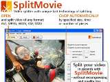 SplitMovie