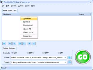 Audiolib Video Converter