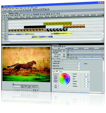 MediaStudio Pro