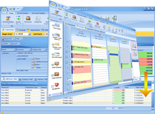 OrgFinances for Workgroup