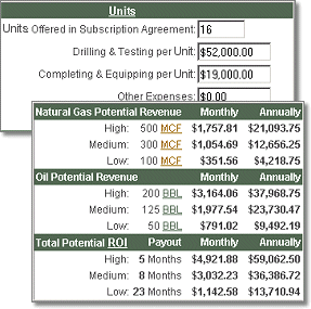 Oil & Gas Investment Calculator