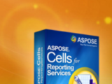 Aspose.Cells for Reporting Services