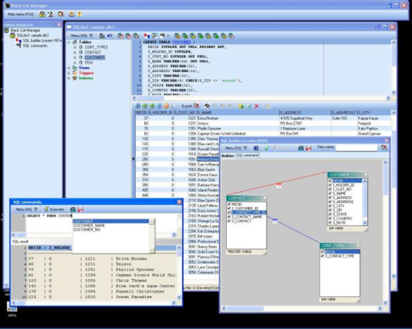 Black Cat - SQLite3 database manager