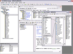 EMS SQL Manager for DBISAM