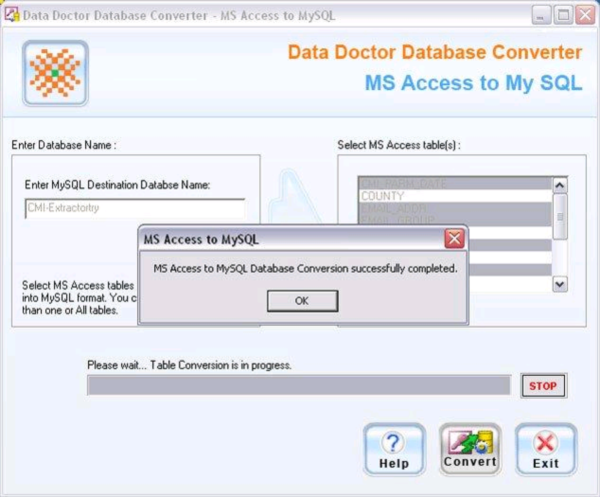 MS Access Database Converter