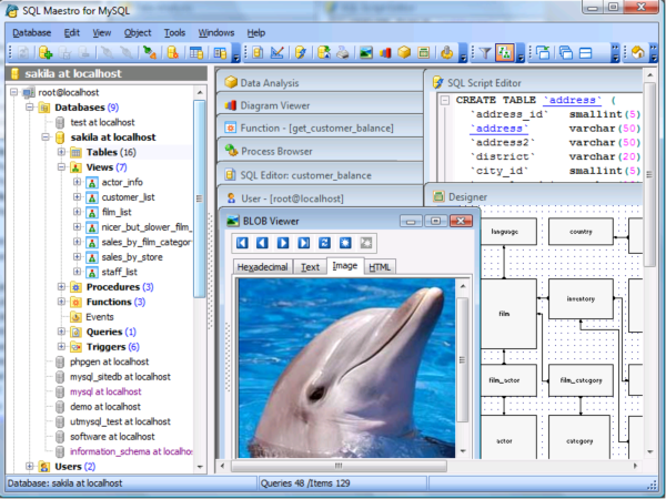 MySQL Maestro