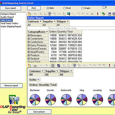 OLAP Reporting Tool