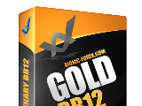 BB12 Gold Binary Option System
