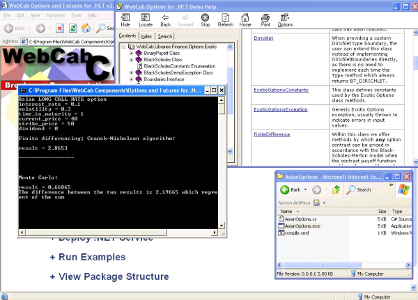 WebCab Options for .NET