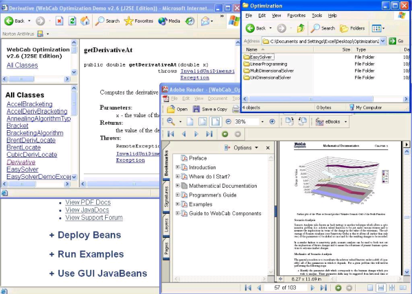 WebCab Optimization (J2SE Edition)