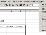 Excel Server 2005 Enterprise Edition