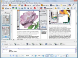 Nuance's PDF Converter Professional