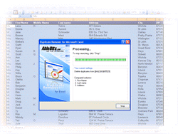 Duplicate Remover for Microsoft Excel