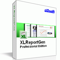 XLReportGen Professional Edition