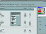 APSW Budget Planner