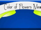 The Color of Flowers Meaning