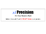 xlPrecision