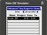 Advanced Time Reports Palm