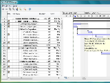 Free Microsoft Project Viewer